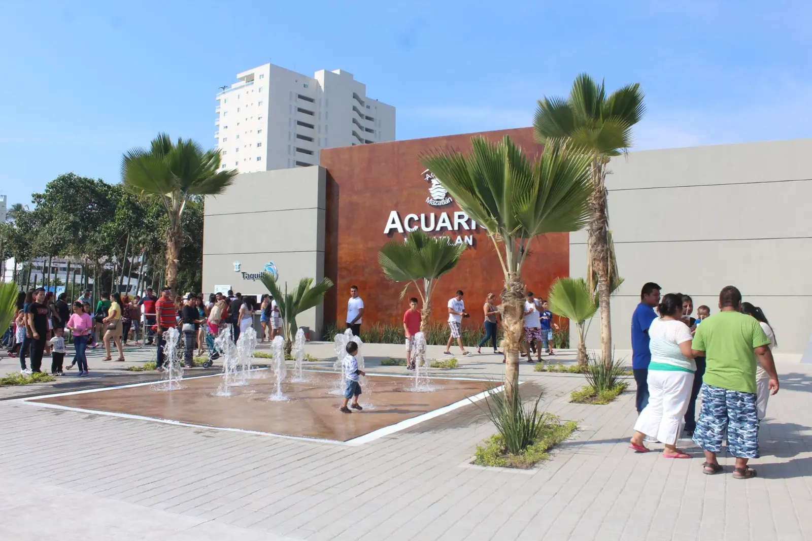 Imagen 6